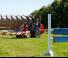 Valet de ferme Weidemann 1160