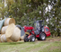 Chargeuses sur pneus Weidemann 2080 LP T 