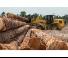 Chargeuses sur pneus Caterpillar 938M