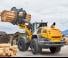 Chargeuses sur pneus Liebherr L 566 XPower