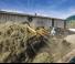 Chargeuses sur pneus New Holland W170D LR