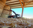 Chariot Élévateur Télescopique Manitou MLT 630-115 V Elite