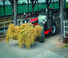 Chariot Élévateur Télescopique Manitou MLT 737-130 PS D Elite