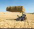 Chariot Élévateur Télescopique Claas Scorpion 733