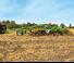 Cultivateurs Amazone Cenius 4003-2TX Super
