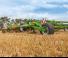 Cultivateurs Amazone Cenius 5003-2 TX Super