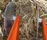 Cultivateurs Kubota CU3400CDF RS