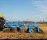 Cultivateurs Lemken Karat 9/500 KTA