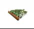 Cultivateurs Amazone Cenius 4003-2TX Special
