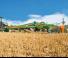 Cultivateurs Amazone Cenius 5003-2TX Super 