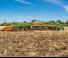 Cultivateurs Amazone Cenius 5003-2 TX Super