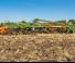 Cultivateurs Amazone Cenius 5003-2TX Super 