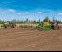 Cultivateurs Amazone Cenius 7003-2 TX Special