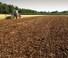 Cultivateurs Kerner Corona C 250 Üm
