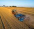 Cultivateurs Lemken Karat 10/700 KUA