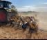 Cultivateurs Agrisem Smartplow mounted 3,00
