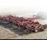 Cultivateurs Case IH TIGER-MATE 255 Double Fold 60.1