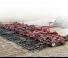 Cultivateurs Case IH TIGER-MATE 255 Single Fold 28.8