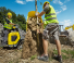 Bennes à chenilles Wacker Neuson DT10