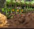 Emballeuses Amazone C-Pack 3000-900