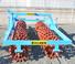 Bremer D 70/19