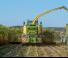 Ensileuses - traction 2 roues Krone BiG X 580