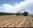 Ensileuses - traction 4 roues Claas Jaguar 1080
