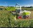 Ensileuses - traction 4 roues Claas Jaguar 860