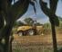 Ensileuses - traction 4 roues New Holland FR 780