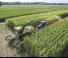 Ensileuses - traction 4 roues New Holland FR 780