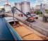Excavatrice sur pneus Atlas 520 MH
