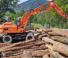Fiat Kobelco EX 95 WT