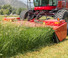 Faucheuses  frontales, disques avec conditionneurs Massey Ferguson 9316 S