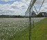 Technologie d'irrigation Flèches de pulvérisation Bauer Irrigation Centerstar 168E