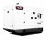 Bobcat PG50W