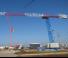 Grues à tour - tourneur supérieur Raimondi MRT189