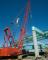 Grues à chenilles - flèche treillis Manitowoc 2250