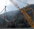 Grues à chenilles - flèche treillis Liebherr LR 1250