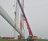 Grues à chenilles téléscopique Sany SCC800TB