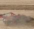 Herse à disques en zinc Case IH Speed-Tiller 475 41