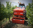 Herses rotatives Maschio Delfino 1300