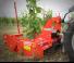 Maschio Delfino 1800