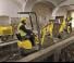 Mini Pelles Wacker Neuson 803