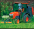 Véhicule Tracteurs municipaux Kubota ST341-C