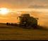 Moissonneuse-batteuses Fendt 6275 L MCS Rice