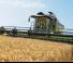 Moissonneuse-batteuses Fendt 6335 C-PL 
