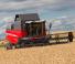 Moissonneuse-batteuses Massey Ferguson Activa 7345S