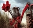 Moissonneuse-batteuses Case IH Austoft 9900