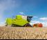 Moissonneuse-batteuses Claas Avero 160