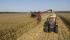 Moissonneuse-batteuses Case IH Axial Flow 5088
